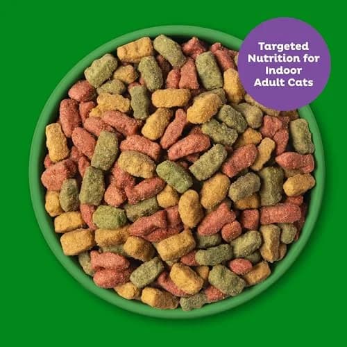 9Lives Indoor Essentials Dry Cat Food with Chicken & Salmon | Supports Indoor Cat Wellness & Easy Cleanup thumbnail 4