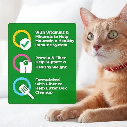 9Lives Indoor Essentials Dry Cat Food with Chicken & Salmon | Supports Indoor Cat Wellness & Easy Cleanup thumbnail 5