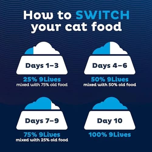 9Lives Indoor Essentials Dry Cat Food with Chicken & Salmon | Supports Indoor Cat Wellness & Easy Cleanup thumbnail 6