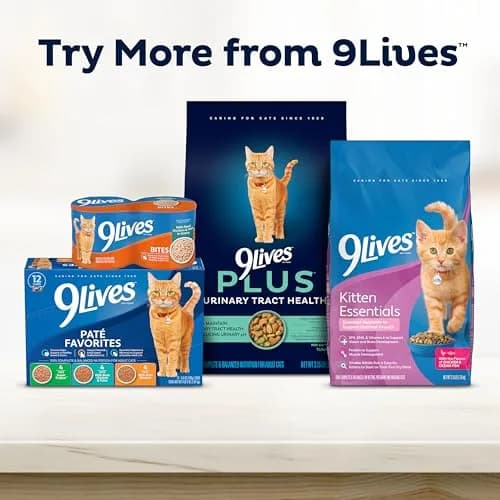 9Lives Indoor Essentials Dry Cat Food with Chicken & Salmon | Supports Indoor Cat Wellness & Easy Cleanup thumbnail 7