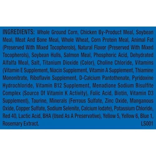 9Lives Indoor Essentials Dry Cat Food with Chicken & Salmon | Supports Indoor Cat Wellness & Easy Cleanup thumbnail 8