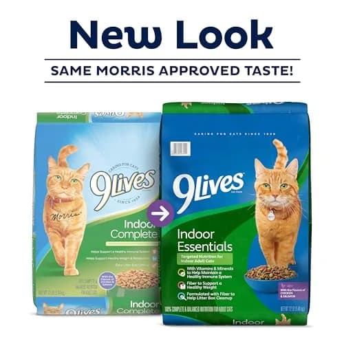 9Lives Indoor Essentials Dry Cat Food with Chicken & Salmon | Supports Indoor Cat Wellness & Easy Cleanup thumbnail 2