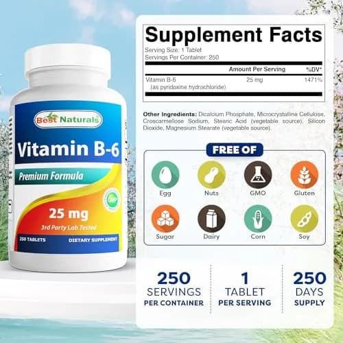 Best Naturals Vitamin B-6 25 Mg Tablets, 250 Count | Purity & Quality Tested thumbnail 2