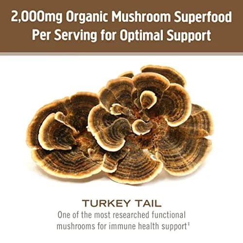 OM MUSHROOM SUPERFOOD Organic Turkey Tail Mushroom Powder 200g (7.05 oz) | Immune Support with Beta-Glucans thumbnail 4