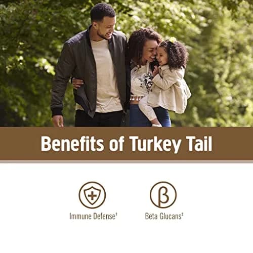 OM MUSHROOM SUPERFOOD Organic Turkey Tail Mushroom Powder 200g (7.05 oz) | Immune Support with Beta-Glucans thumbnail 3