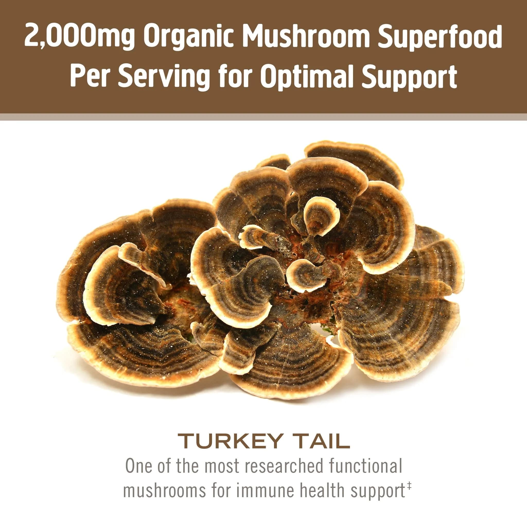 OM MUSHROOM SUPERFOOD Organic Turkey Tail Mushroom Powder 200g (7.05 oz) | Immune Support with Beta-Glucans - view 4