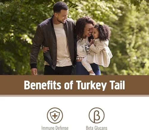OM Mushroom Superfood Turkey Tail Organic Mushroom Powder 3.5 oz (99g) | Immune Support with Beta Glucans thumbnail 4