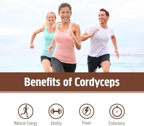 OM MUSHROOM SUPERFOOD Cordyceps Organic Mushroom Powder, 3.5 Oz | Supports Energy & Endurance thumbnail 4