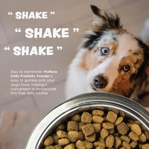 Proflora Probiotics & Prebiotics for Dogs 30 Sachets | Supports Gut & Immune Health thumbnail 7