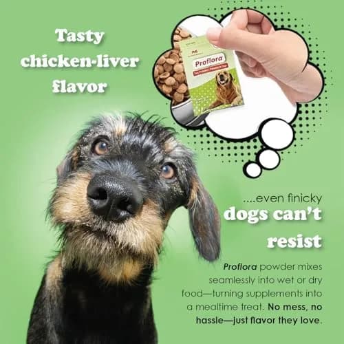 Proflora Probiotics & Prebiotics for Dogs 30 Sachets | Supports Gut & Immune Health thumbnail 3