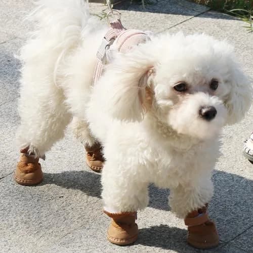 URBEST Dog Shoes with Hook & Loop Closure 4# | Non-Slip Plush Rubber Pet Booties for Small Dogs thumbnail 3