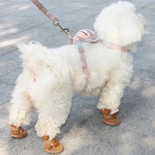 URBEST Dog Shoes with Hook & Loop Closure | Small, Durable & Non-Slip (2#, Brown) thumbnail 3