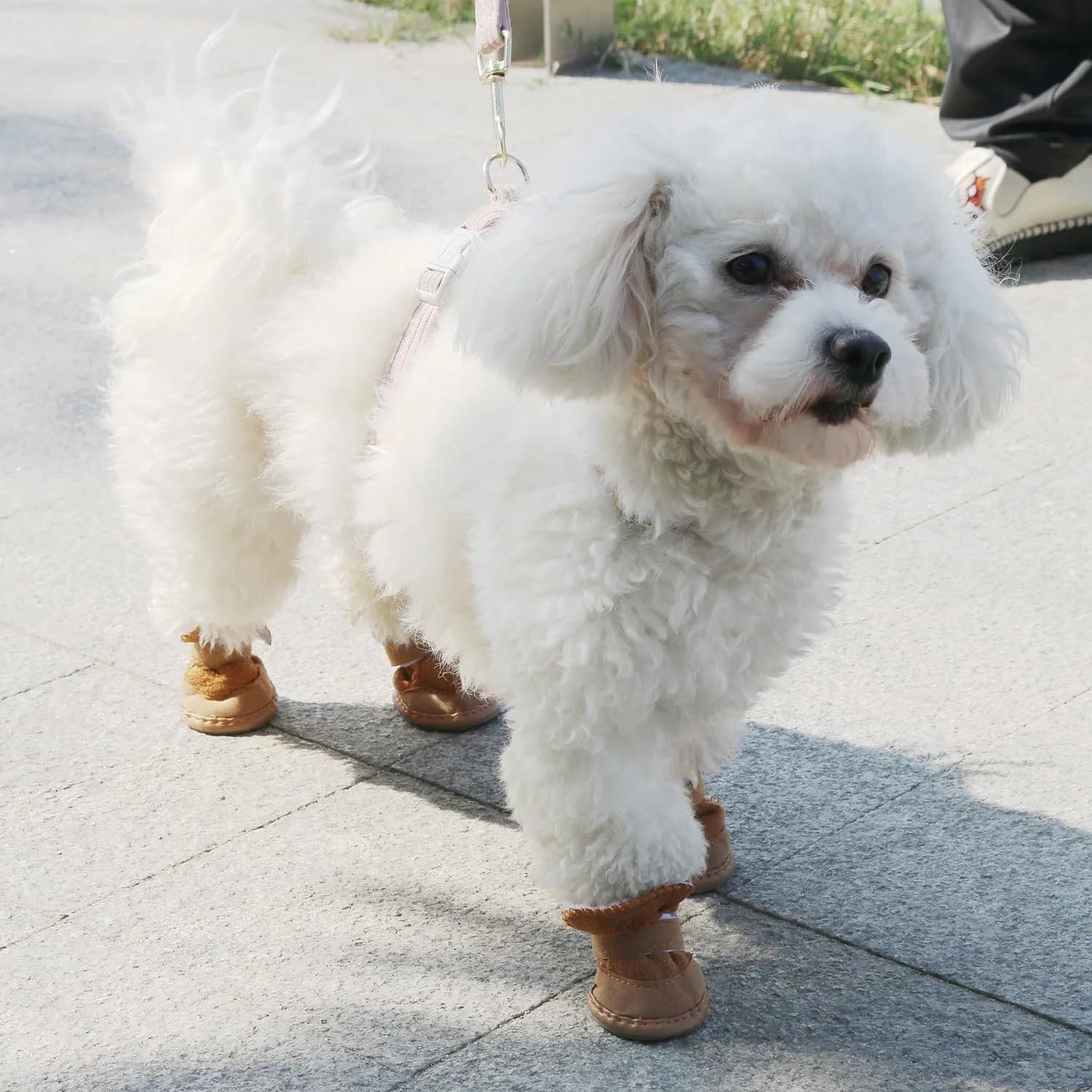 URBEST Dog Shoes with Hook & Loop Closure | Small, Durable & Non-Slip (2#, Brown) — 2#