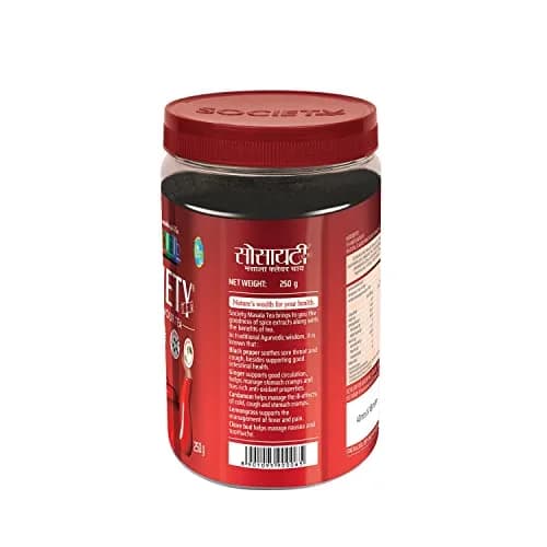 Society Tea Masala Tea Jar, 250g (8.81 oz) | Authentic Indian Chai Blend thumbnail 2