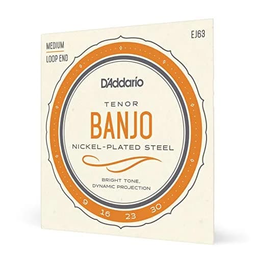 D'Addario EJ63 Tenor Banjo Strings Nickel-Plated Steel 9-30 | Warm, Bright Tone thumbnail 1
