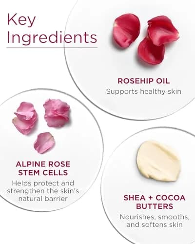 Andalou Naturals 1000 Roses Velvet Soft Body Butter 236ml (8 fl oz) | Hydrates Dry Skin with Shea & Cocoa Butters thumbnail 5