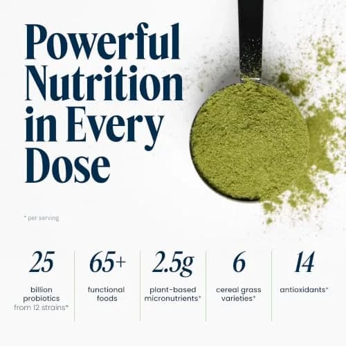 Vibrant Health Green Vibrance Superfood Blend Powder, 83 Servings | 65 Superfoods, 25 Billion Probiotics, Enzymes & Adaptogens for Optimal Vitality thumbnail 4