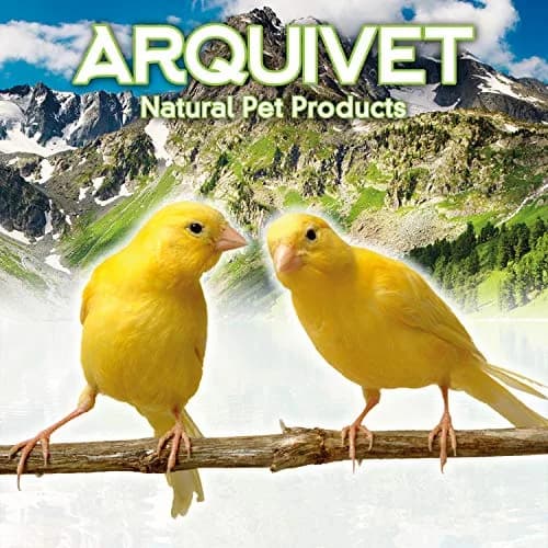 Arquivet Wooden Parakeet Nest Box 20cm (7.87in) | Natural Wood Bird House for Small Birds thumbnail 2