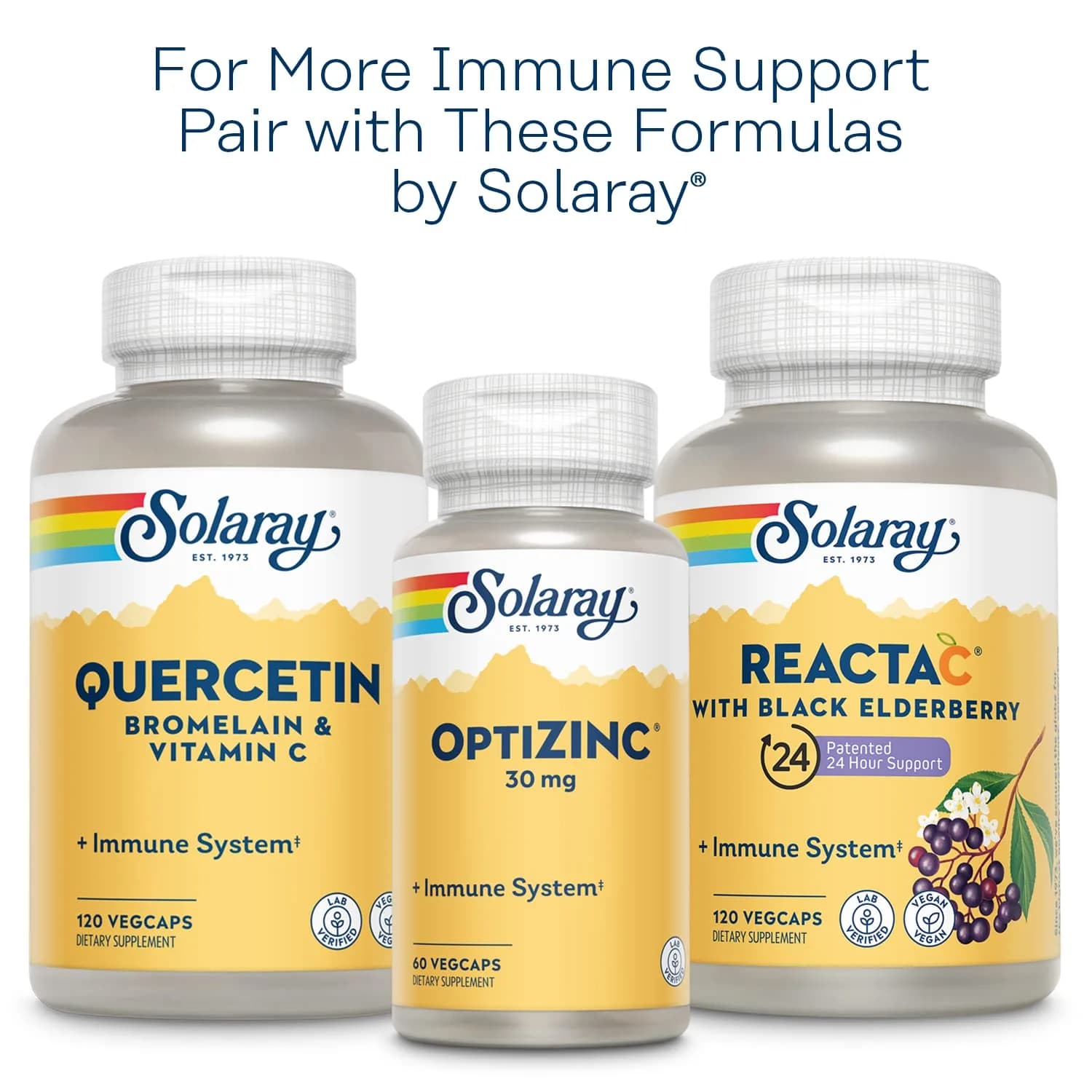 SOLARAY L-Lysine Monolaurin Immune Support Supplement 1,000 mg (500 mg Each) 60 VegCaps | Supports Immune System & Gut Health - view 7