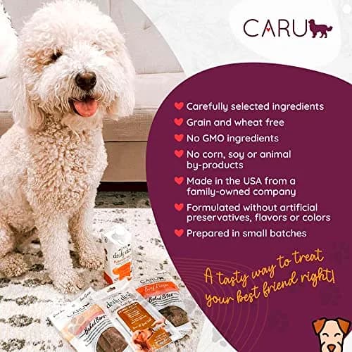 Caru Soft 'n Tasty Baked Bites - Chicken Dog Treats 4 oz | Wholesome Training Snacks thumbnail 4