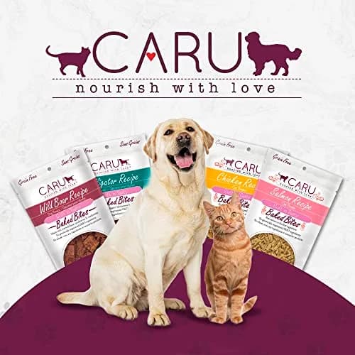 Caru Soft 'n Tasty Baked Bites - Chicken Dog Treats 4 oz | Wholesome Training Snacks thumbnail 6