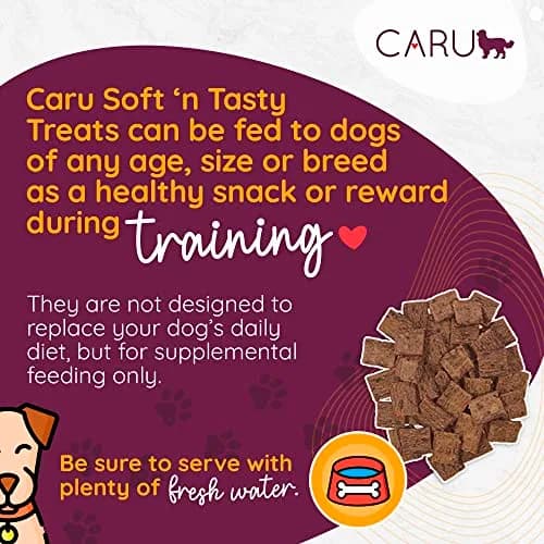 Caru Soft 'n Tasty Baked Bites - Chicken Dog Treats 4 oz | Wholesome Training Snacks thumbnail 2