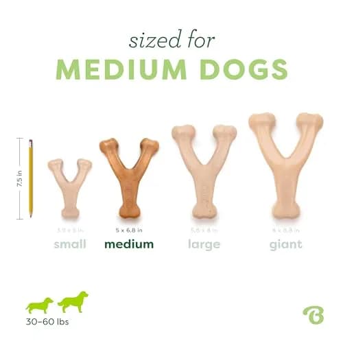 Benebone Wishbone Durable Dog Chew Toy for Aggressive Chewers, Real Chicken Flavor, Medium, 17cm (6.7in) thumbnail 4
