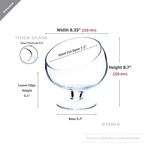 WGVI Slant Cut Bowl Glass Vase with Stand | Modern Clear Flower & Fruit Decor thumbnail 2