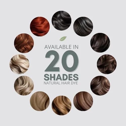 Naturigin Permanent Hair Color 10.3 Light Golden Blonde | Ammonia-Free, 100% Gray Coverage, Nourishing Formula (70-120 chars) thumbnail 7