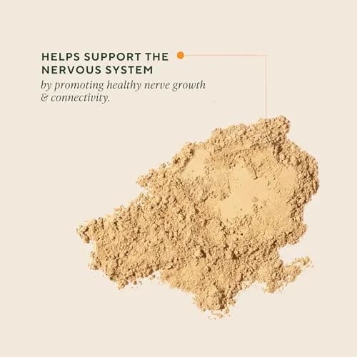OM Mushroom Superfood Organic Lion's Mane Mushroom Powder 100g (3.5 oz) | Nootropic for Focus & Memory thumbnail 2