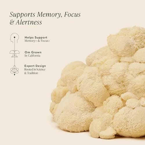OM Mushroom Superfood Organic Lion's Mane Mushroom Powder 100g (3.5 oz) | Nootropic for Focus & Memory thumbnail 3