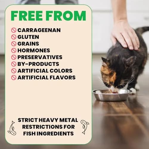 almo nature HQS Natural Wet Cat Food Chicken with Pumpkin 2.47oz | Grain Free & Additive Free thumbnail 3