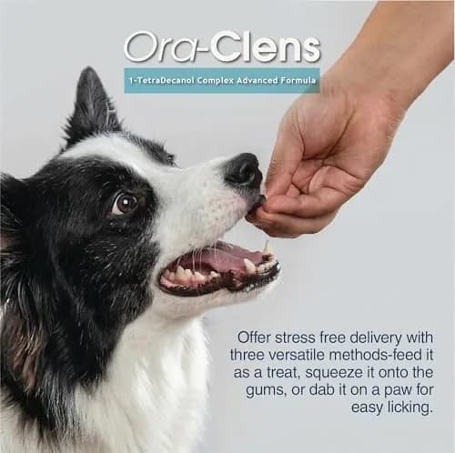 Ora-Clens 1-TDC Periodontal Supplement ES for Dog & Cat | Supports Oral, Hip & Joint Health, Skin & Coat, 120 Capsules thumbnail 6