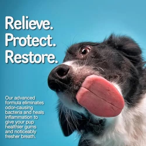 Ora-Clens 1-TDC Periodontal Supplement ES for Dog & Cat | Supports Oral, Hip & Joint Health, Skin & Coat, 120 Capsules thumbnail 2