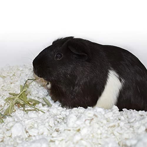 Carefresh White Nesting Small Pet Bedding 50L | Ultra-Absorbent & Dust-Free for Guinea Pigs & Rabbits thumbnail 3