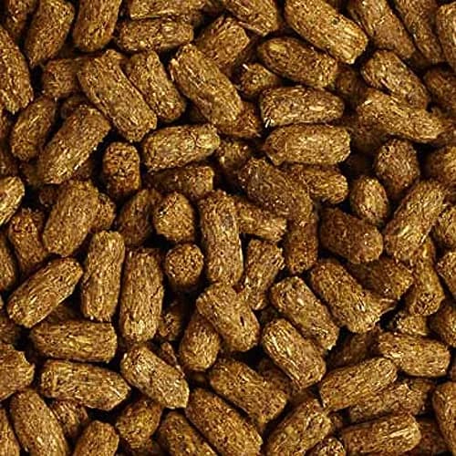 Mazuri Low Starch Tortoise Diet 340 g (12 oz) | High Fiber, Probiotic Formula for Arid Tortoises thumbnail 3