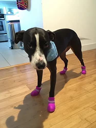 Cdycam Puppy Dogs Candy Colors Anti-Slip Waterproof Rubber Rain Shoes Boots Paws Cover (Purple,Medium) | Waterproof, Anti-Skid, Soft & Comfortable thumbnail 6