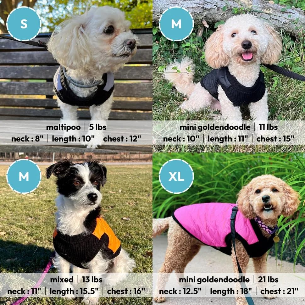 Gooby Fashion Vest Dog Jacket, Red, X-Small | Water-Resistant & Expandable for Small Dogs thumbnail 5
