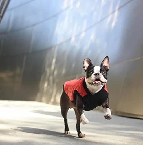 Gooby Fashion Vest Dog Jacket, Red, X-Small | Water-Resistant & Expandable for Small Dogs thumbnail 7
