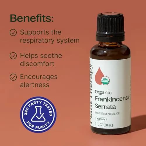 Plant Therapy Organic Frankincense Serrata Essential Oil 100 mL (3.3 Fl Oz) | USDA Certified Organic, Pure & Undiluted thumbnail 2
