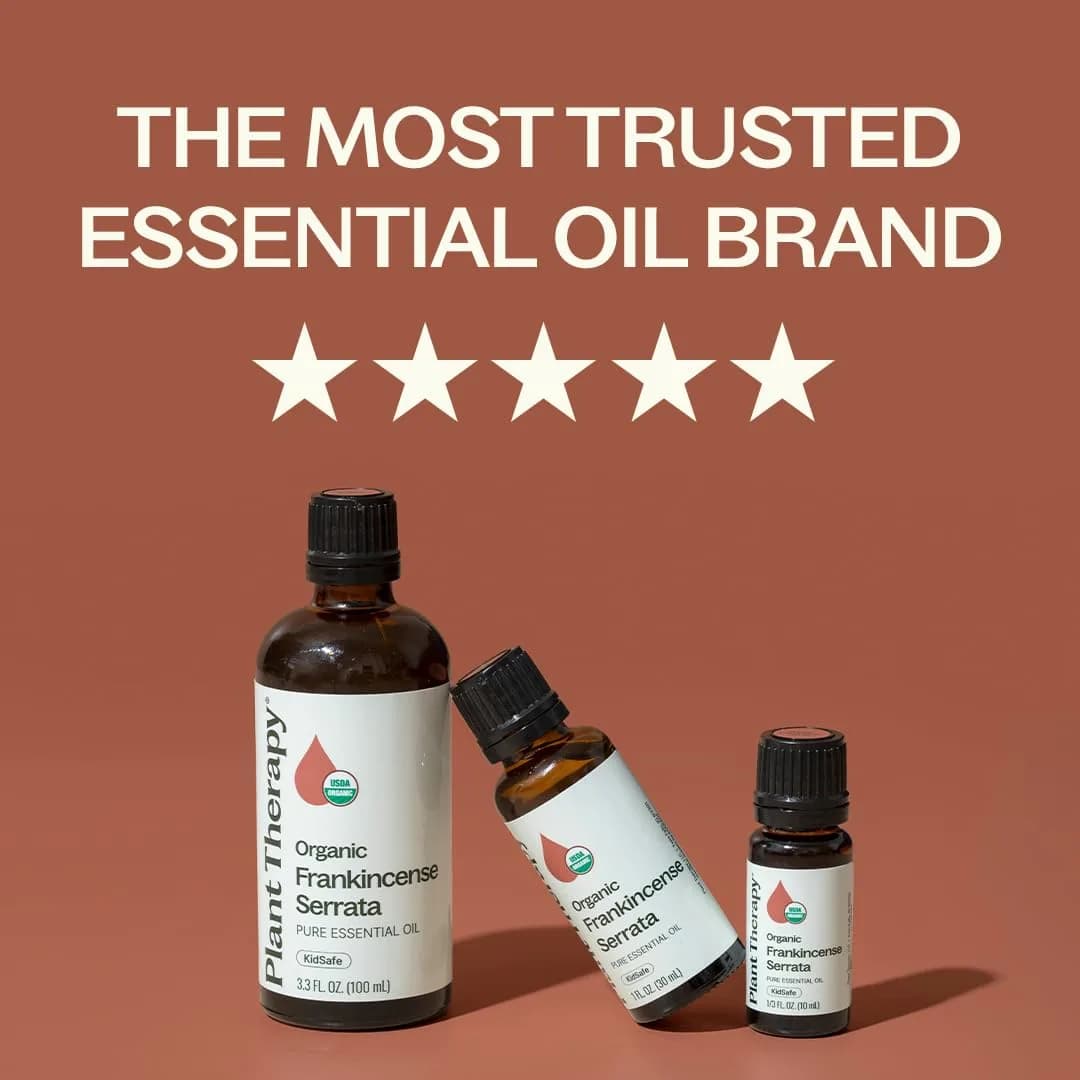 Plant Therapy Organic Frankincense Serrata Essential Oil 100 mL (3.3 Fl Oz) | USDA Certified Organic, Pure & Undiluted - view 4