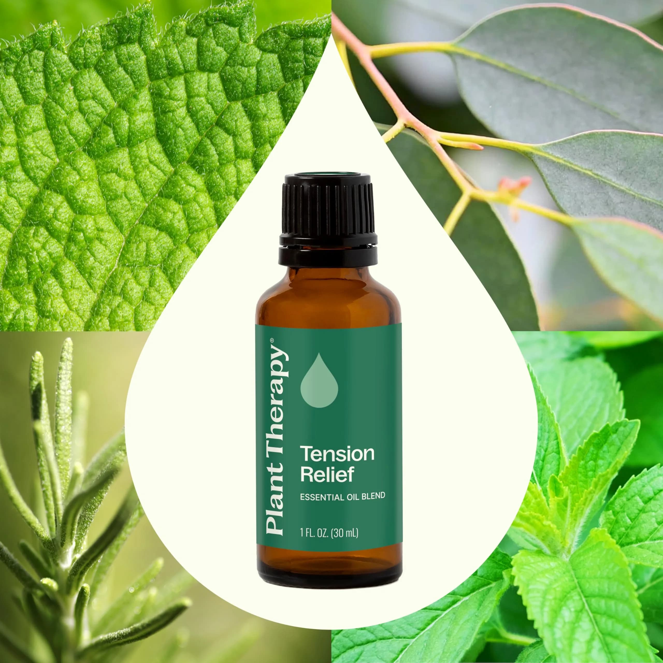 Plant Therapy Tension Relief Essential Oil Blend 30ml (1 Fl Oz) | Aromatherapy for Stress & Head Tension - view 3
