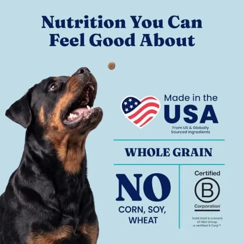 Solid Gold Lamb Dry Dog Food for Adult & Senior Dogs | High Protein with Probiotics (4LB) thumbnail 5