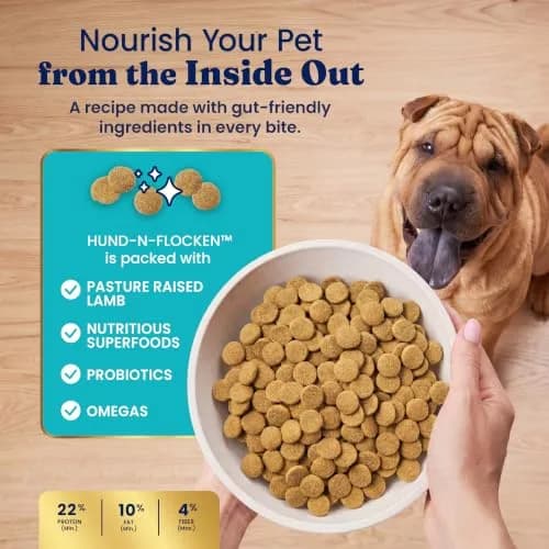 Solid Gold Lamb Dry Dog Food for Adult & Senior Dogs | High Protein with Probiotics (4LB) thumbnail 6