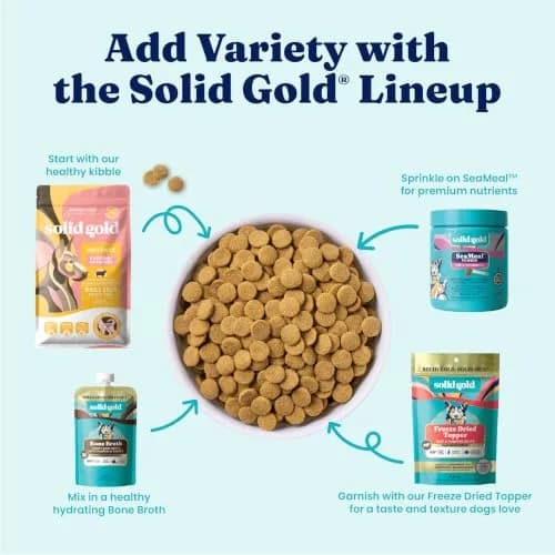 Solid Gold Lamb Dry Dog Food for Adult & Senior Dogs | High Protein with Probiotics (4LB) thumbnail 7