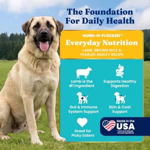 Solid Gold Lamb Dry Dog Food for Adult & Senior Dogs | High Protein with Probiotics (4LB) thumbnail 2