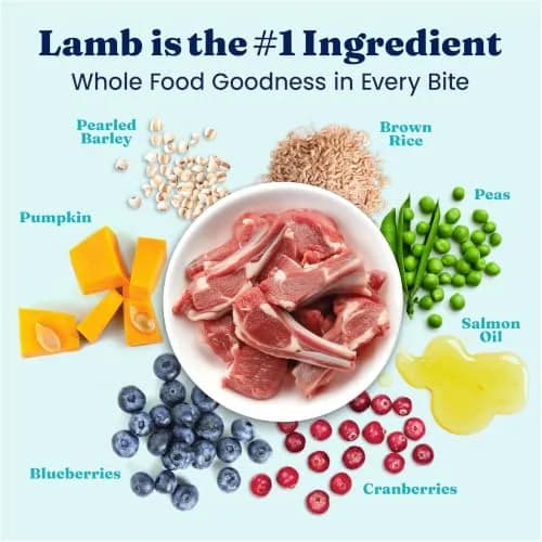 Solid Gold Lamb Dry Dog Food for Adult & Senior Dogs | High Protein with Probiotics (4LB) thumbnail 3