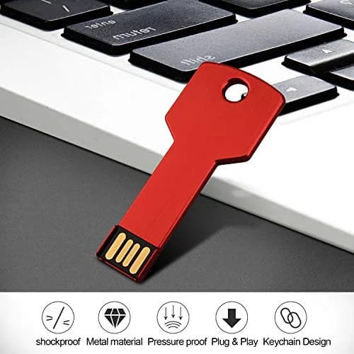 RAOYI 8GB Metal Key USB 2.0 Flash Drive | Portable Data Storage, Fast Transfer, 10-Pack, Red thumbnail 6