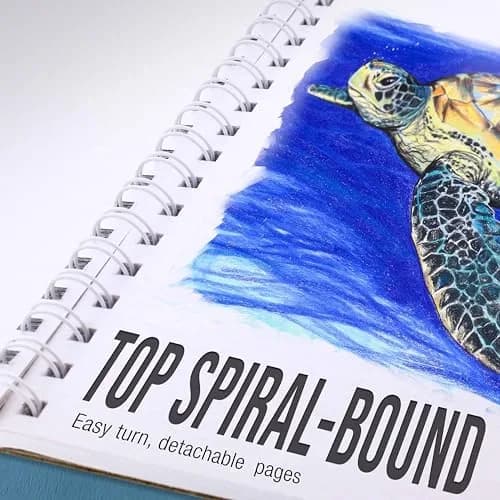 U.S. Art Supply 5.5x8.5 Heavy-Weight Sketch Pad | 30 Sheets, Spiral Bound, Natural White Paper thumbnail 4