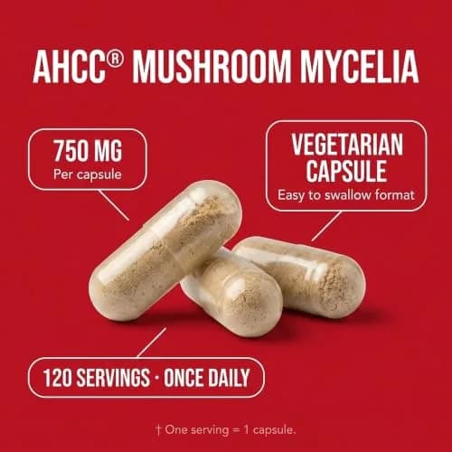 Olympian Labs Premium AHCC Supplement 750mg | Supports Immune & Liver Health thumbnail 4